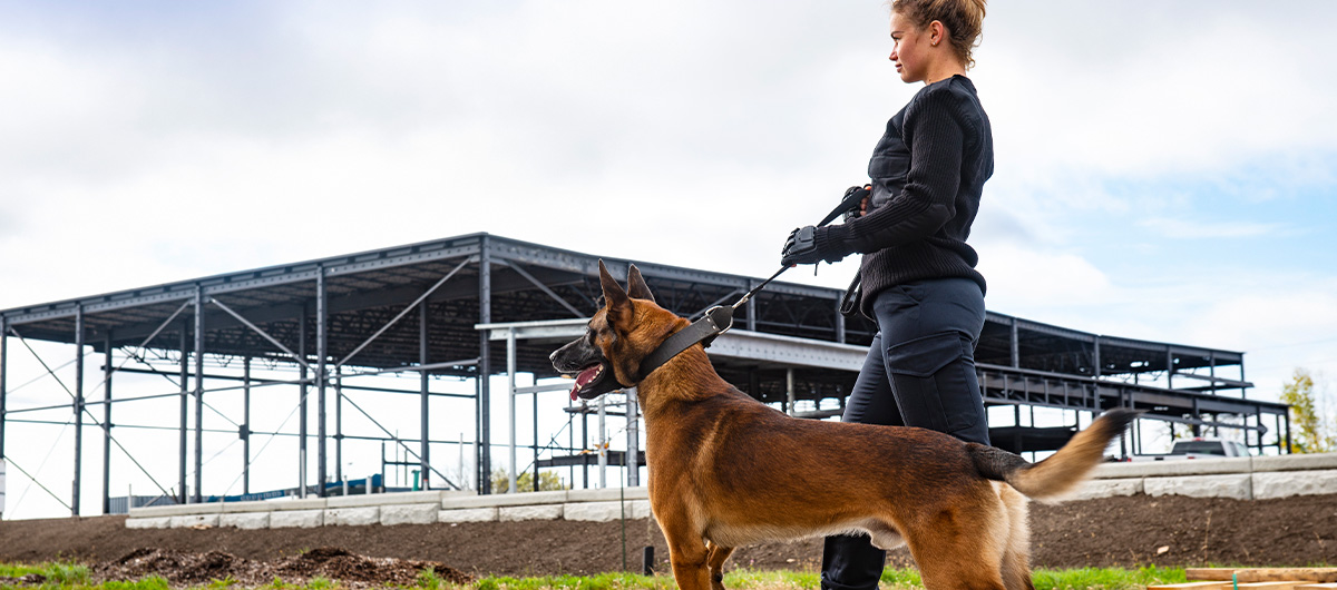 Weibliche Sicherheitskraft mit Schäferhund